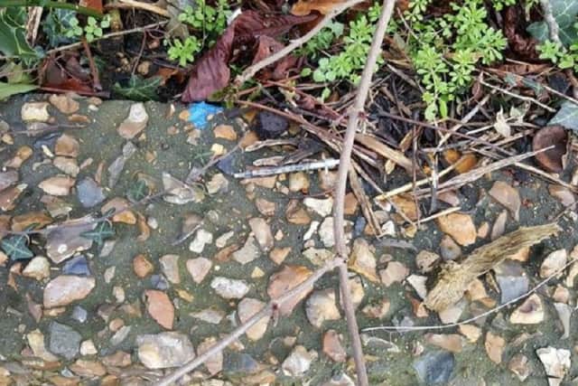 The needle found near West Town Primary Academy