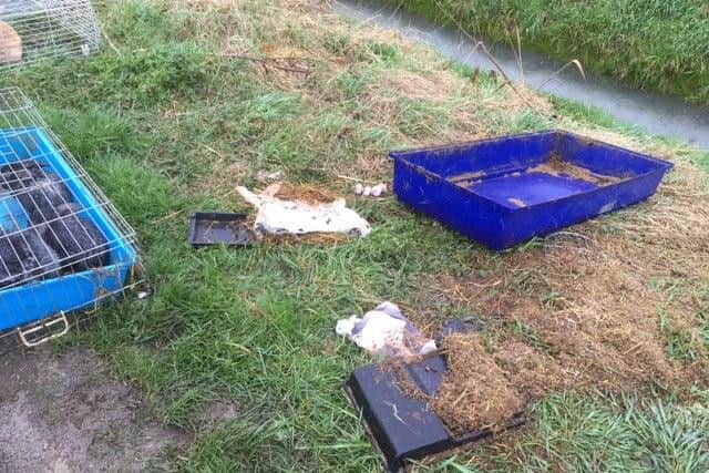 The scene where the animals were dumped near Outwell