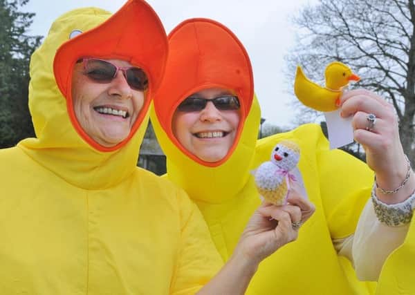 The Little Yellow Ducks Project duck give-away at Central Park. Organisers Lian Foulds and Ann Rowcliffe EMN-180415-153835009