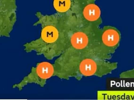 A High pollen count is forecast for Peterborough this week
