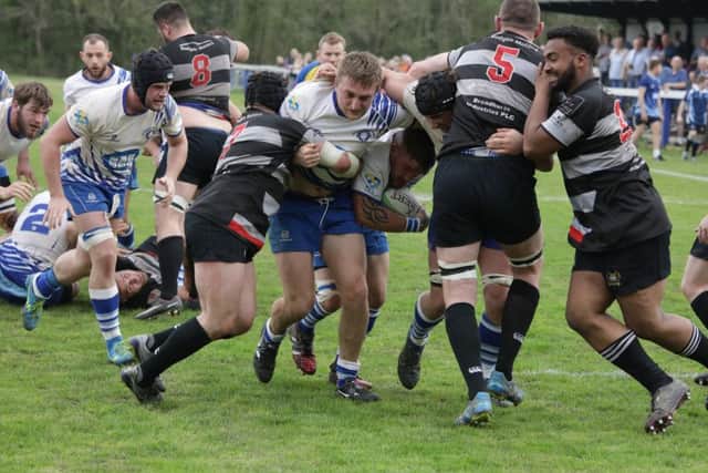 Jack Lewis beavers his way in for a try. Picture: Mick Sutterby