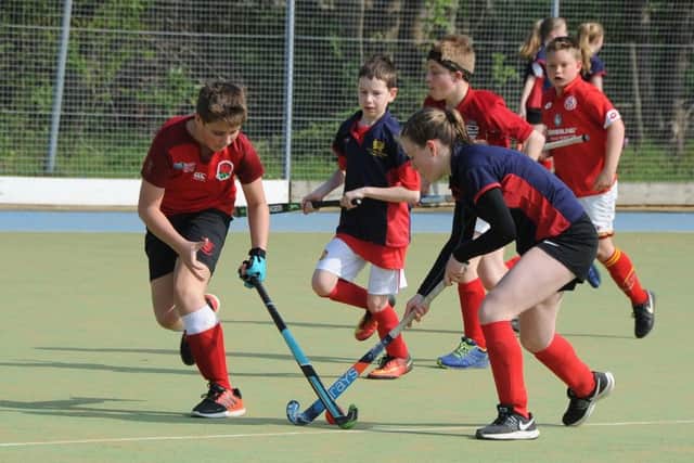 Youngsters competing in the Peter Leaton mini hockey tournament. Photo: David Lowndes.