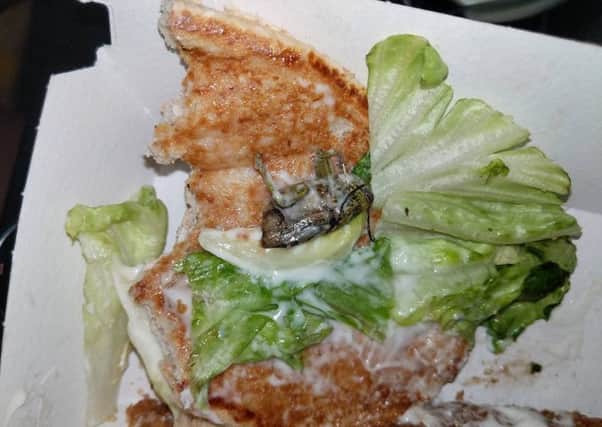 The bug found in the Chicken Legend meal. Photo: Anita Ribbons