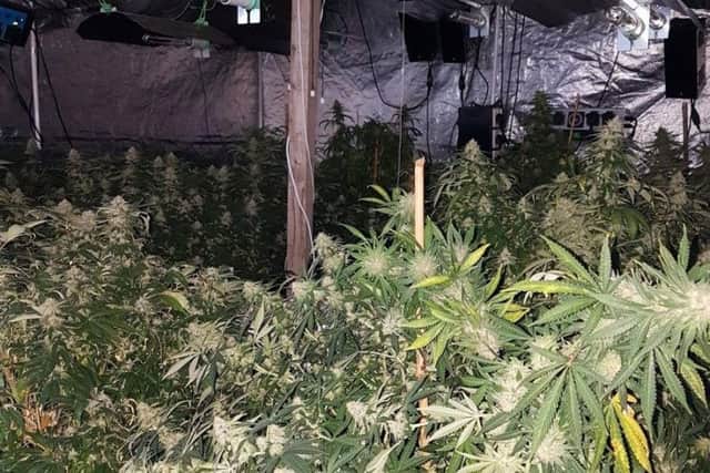 The scene of the bust at the cannabis farm in Peterborough today