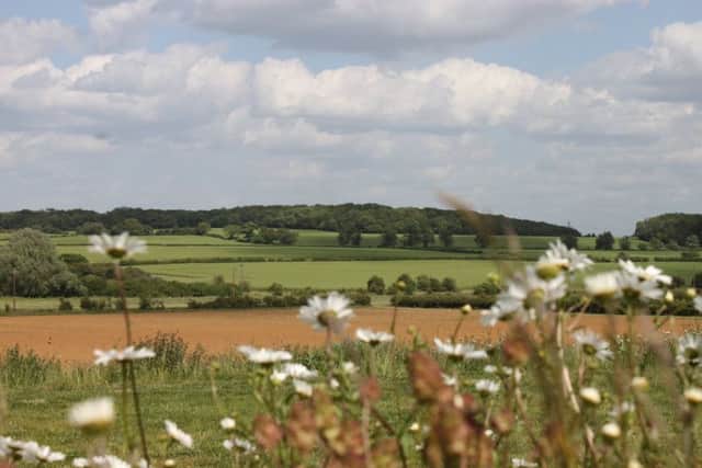 Riverford Summer Walk