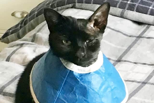 Olive Brewis had to have surgery to remove the stick