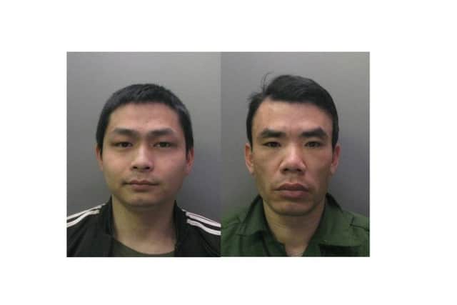 Phu Nguyen (left) and Ken Nguyen (right)