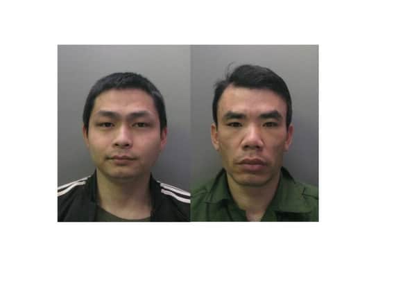 Phu Nguyen (left) and Ken Nguyen (right)