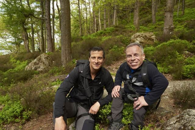 Bear's Mission with Warwick Davis on ITV