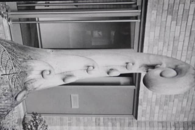 Cculpture at Shrewsbury Ave, Woodston 1993