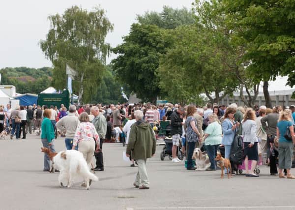 Just Dogs Live is in Peterborough this weekend