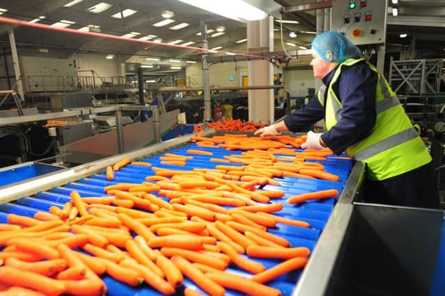 Carrot processing at Produce World in Yaxley. EMN-140703-153512001