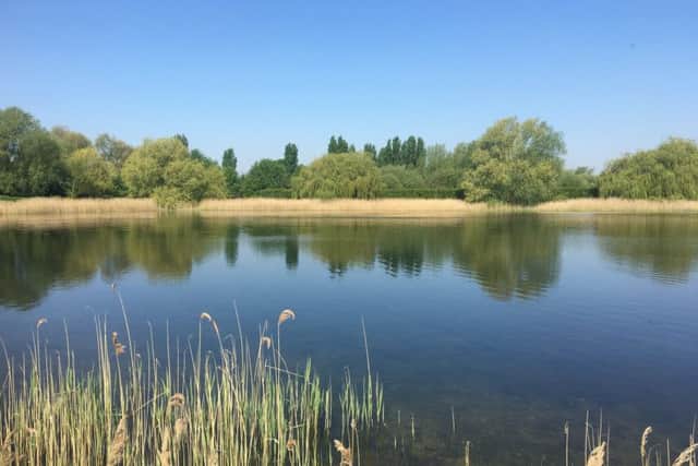 Trout fishery, North Bank