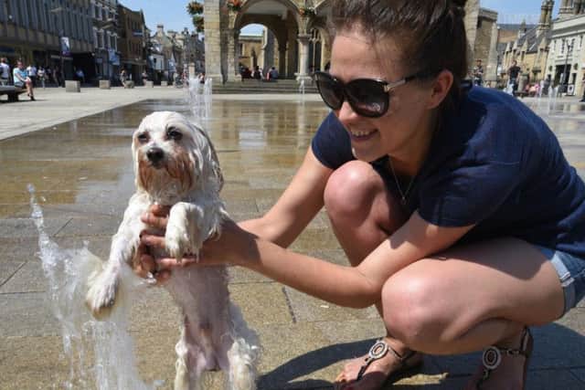 Olesya Shzstzmeva and dog Masja enjoying the hot weather in Peterborough's Cathedral Square