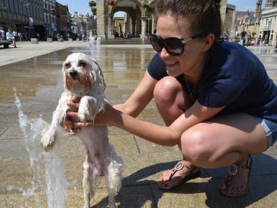 Olesya Shzstzmeva and dog Masja enjoying the hot weather in Peterborough's Cathedral Square