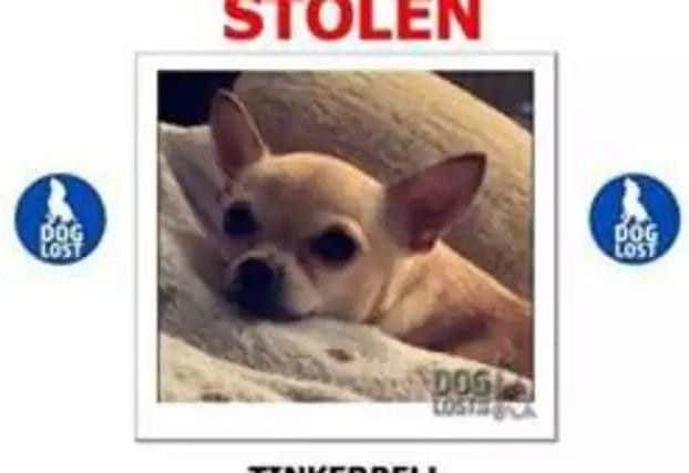 Have you seen Tinkerbell, stolen by armed men in Peterborough?