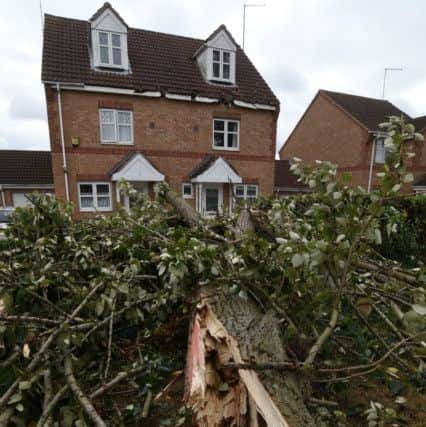 Damage to the house caused by the fallen tree