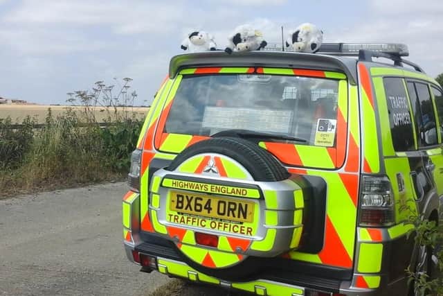The cows discovered by Highways England traffic officers