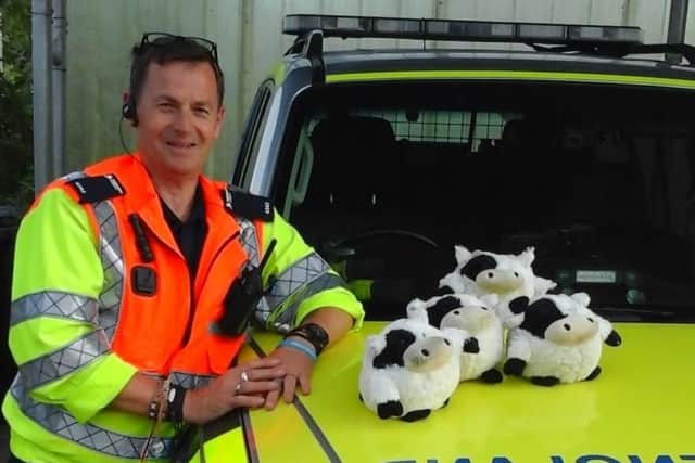 The cows discovered by Highways England traffic officers