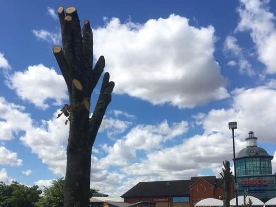 The trees at Serpentine Green that have been chopped back. Photo: @drlamb23