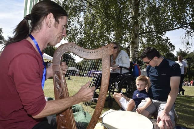 Storytelling Festival at Central Park.  Harpist and storyteller Liam Carroll Vivacity Once Upon a Festival EMN-181108-181141009