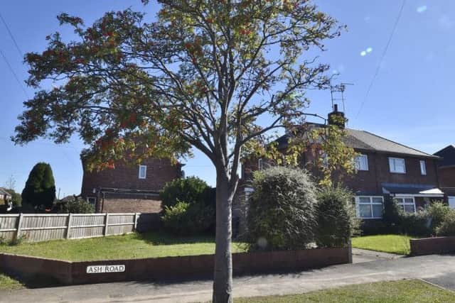 Ash tree in Ash Road, Dogsthorpe. EMN-180926-125644009