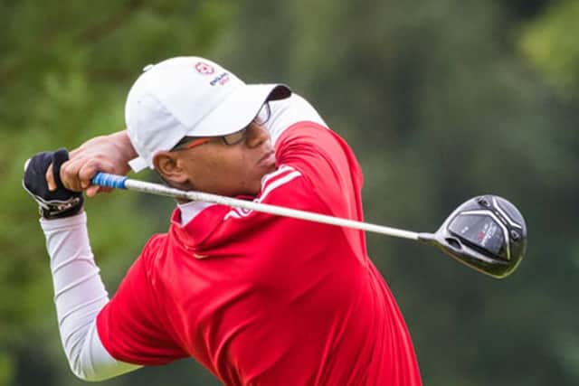 Robin 'Tiger' Williams enjoyed an excellent Ryder Cup.