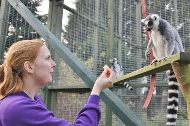 There is an open day at Exotic Pet Refuge at Deeping st James.