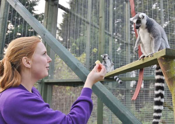 There is an open day at Exotic Pet Refuge at Deeping st James.