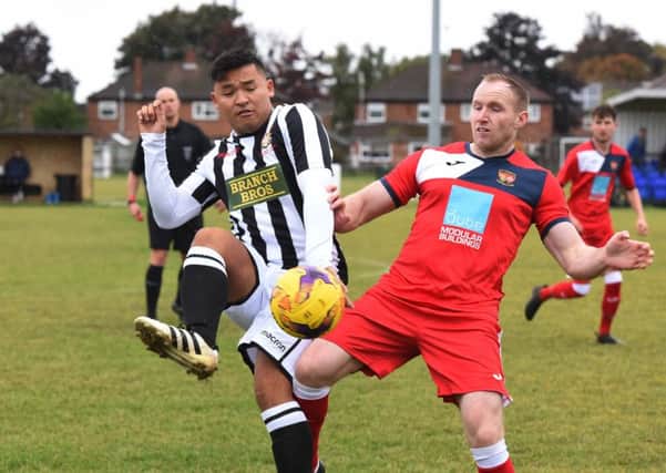 Christian Le (stripes) in action for Peterborough Northern Star against ON Chenecks. Photo: Chantelle McDonald. @cmcdphotos