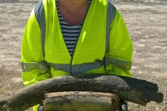 The Woolly Mammoth bones found last week