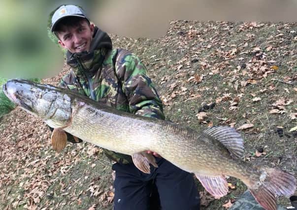 The River Nene has become a fine venue for pike anglers over the past couple of years and is well worth a visit throughout the winter months. This huge pike was taken recently from the River Nene by Oliver Rodgers weighing in at 22lb 11oz.