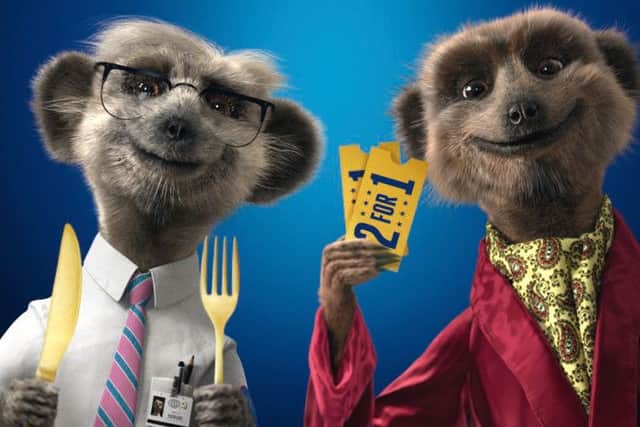 Aleksandr and Sergei meerkats are the public face of comparethemarket.com