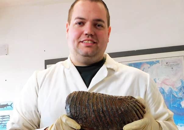 Palaeontologist Jamie Jordan, owner of museum Fossils Galore with the mammoth tooth he found. Photo: SWNS