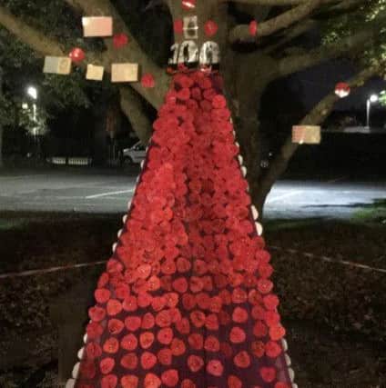 A waterfall of poppies from pupils at Highlees Primary School