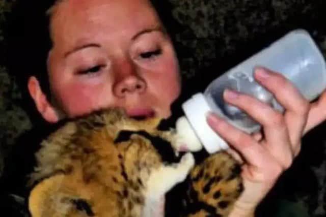 Rosa King with a tiger she loved