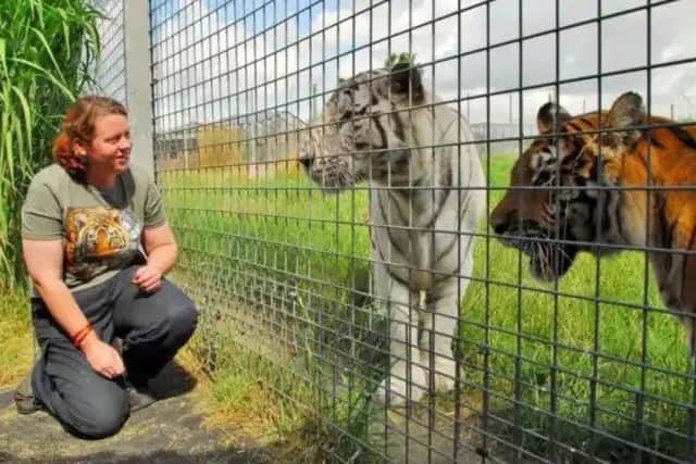 Rosa King with tigers she loved