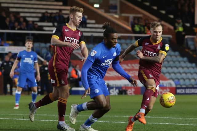 Posh striker Ivan Toney battles against Bradford's Eoin Doyle and David Ball. Photo: Joe Dent/theposh.com.