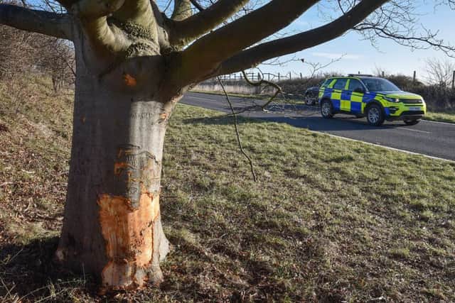 The scene of the crash