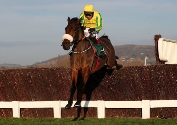 Synopsis ridden by Richard Johnson on their way to victory at Cheltenham last month.