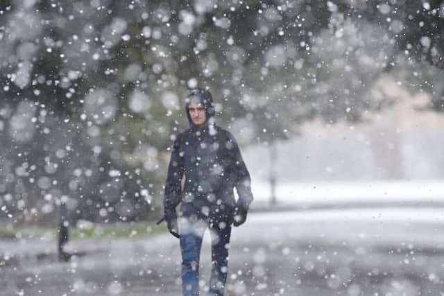 Snow falling in Peterborough's Central Park in 2018