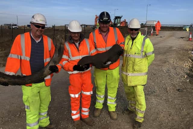 Among the amazing archaeological finds have been these woolly mammoth tusks and woolly rhino skulls, believed to be around 100,000 years old