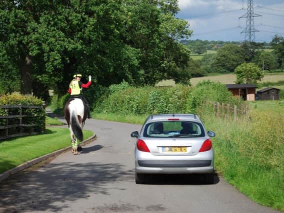 A car passing a horse safely