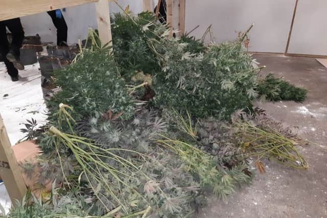 Some of the drugs found by officers