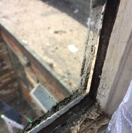 The property in Dogsthorpe Road when it was inspected. Photo: Peterborough City Council