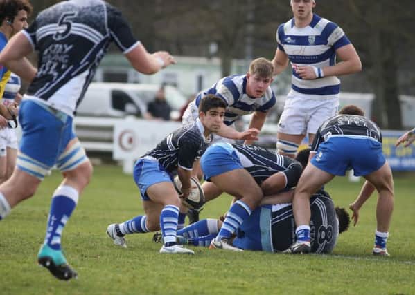 Franco Perticaro whips the ball away for the Lions against Tynedale. Picture: Mick Sutterby