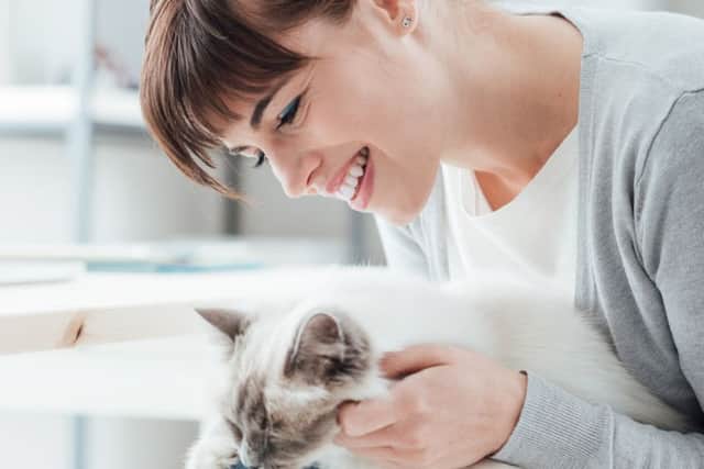 Purr-fect landlords are needed
