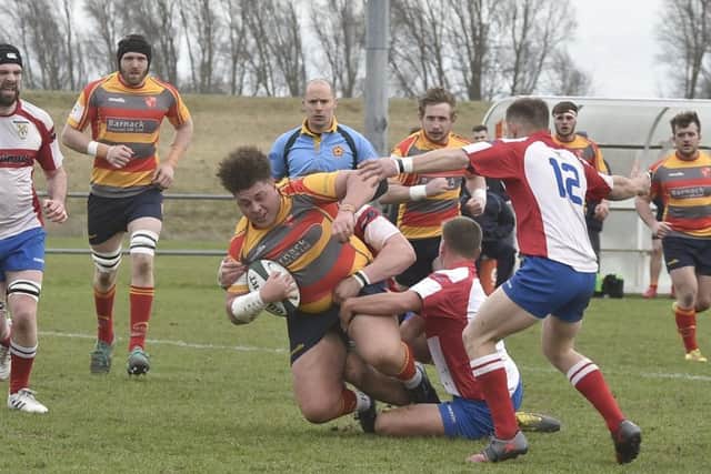 Levan Stapleton on the charge for Borough against Wellingborough. Picture: David Lowndes