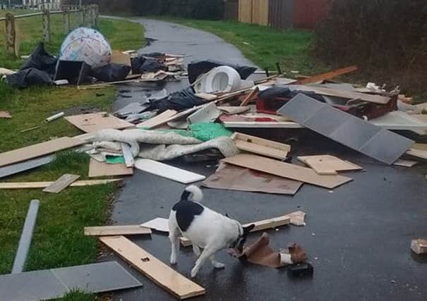 The fly-tipped waste in Tenter Hill. Pic: Keep Stanground Talking