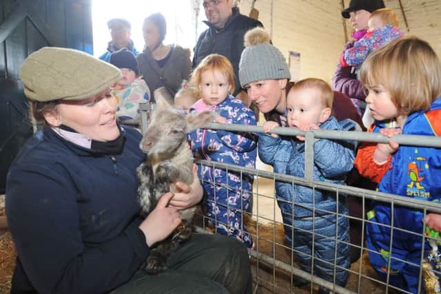 Sacrewell Farm will be welcoming  spring lambs